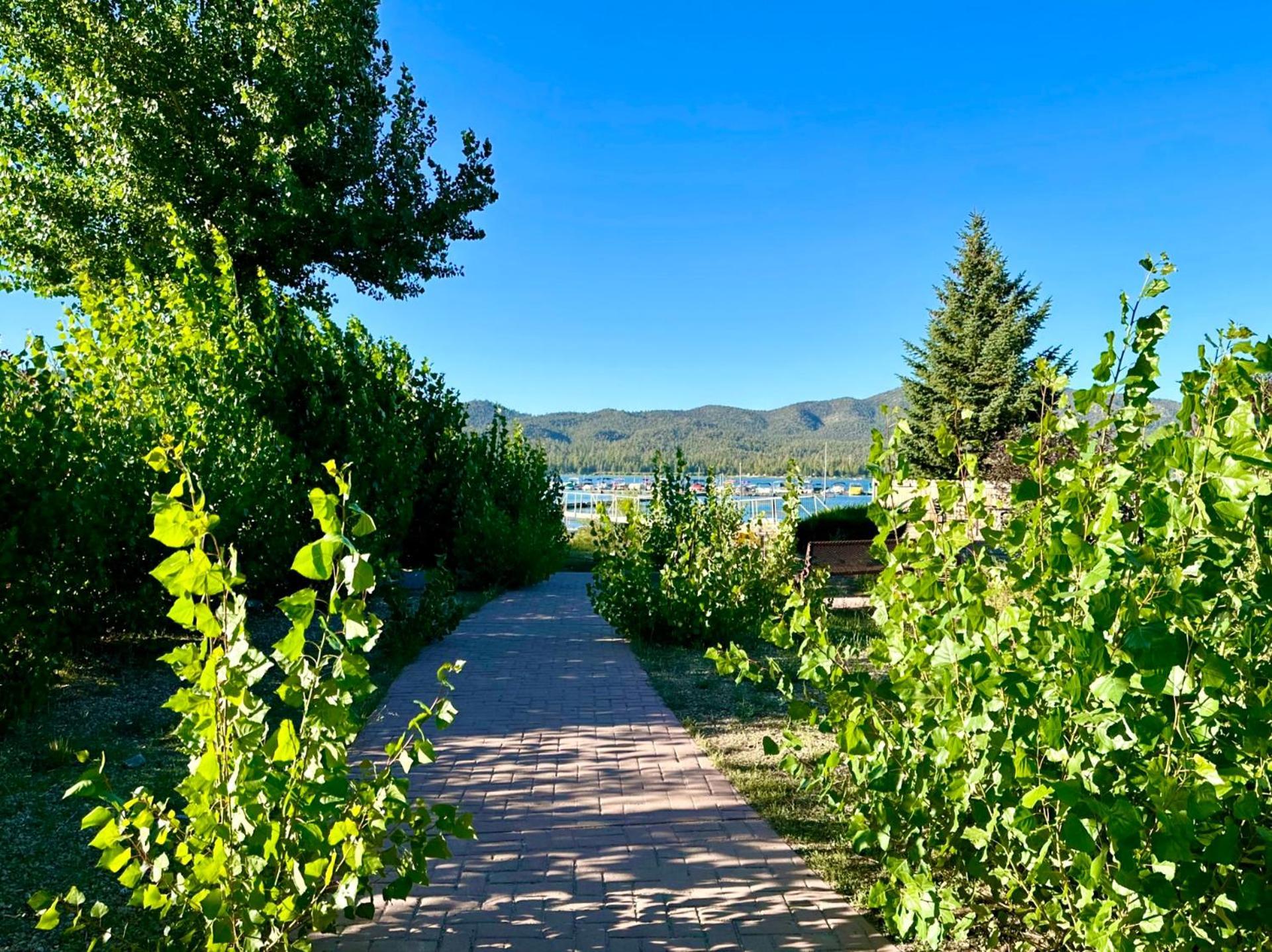 Lakefront Escape Биг Бэар Лейк Экстерьер фото